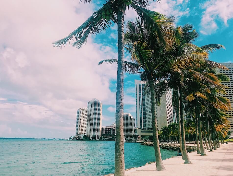 sf-beach.jpg - Studio 1